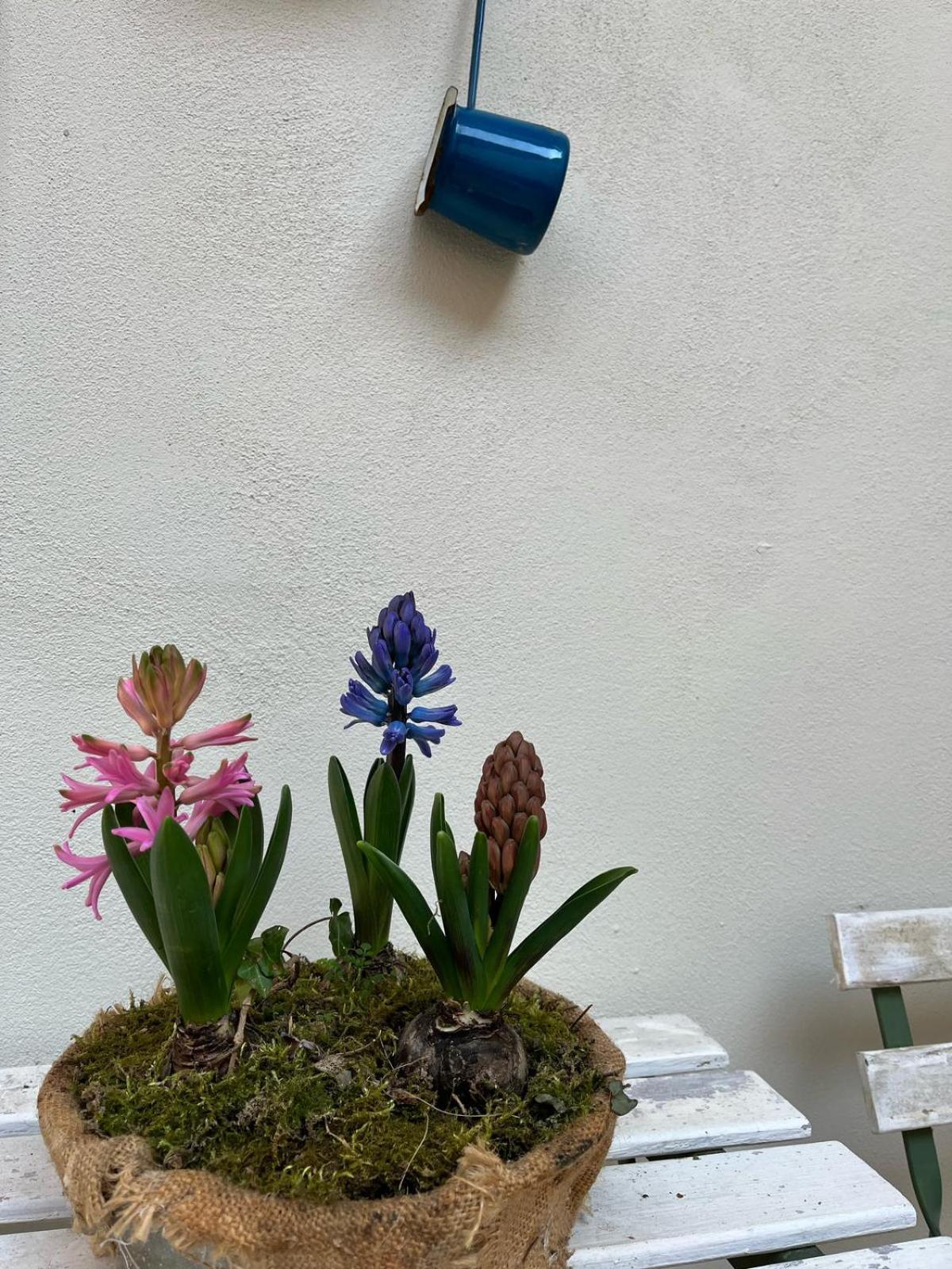 Appartement Il Cortiletto Sotto La Mole Turin